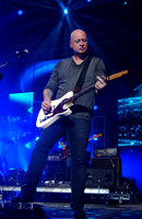 Musicians - Live