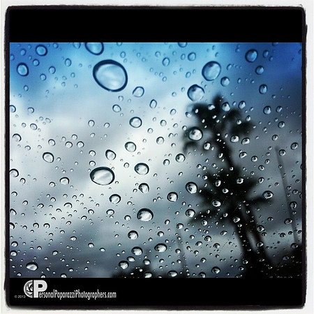 cellphoneography-2013.03.11-15