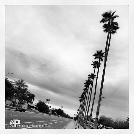IMG_20130404_200722