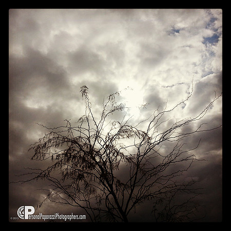cellphoneography-2013.03.11-20